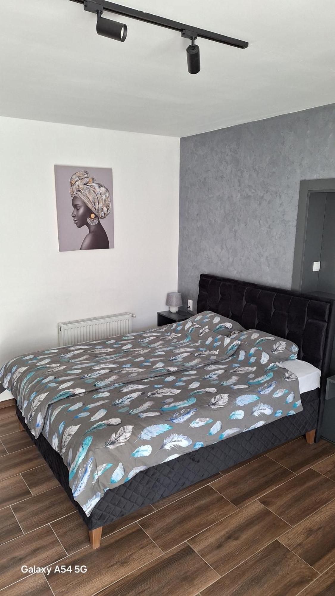 Stan Na Dan Dunja 2 Apartment Vrsac Luaran gambar