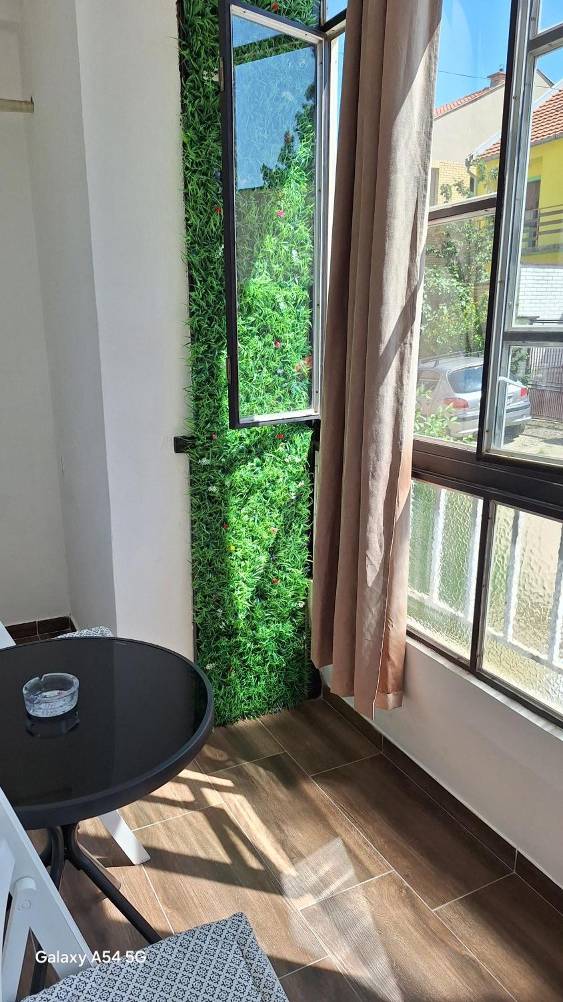 Stan Na Dan Dunja 2 Apartment Vrsac Luaran gambar