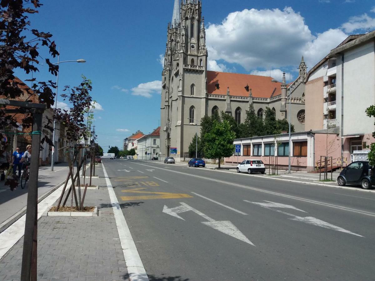 Stan Na Dan Dunja 2 Apartment Vrsac Luaran gambar