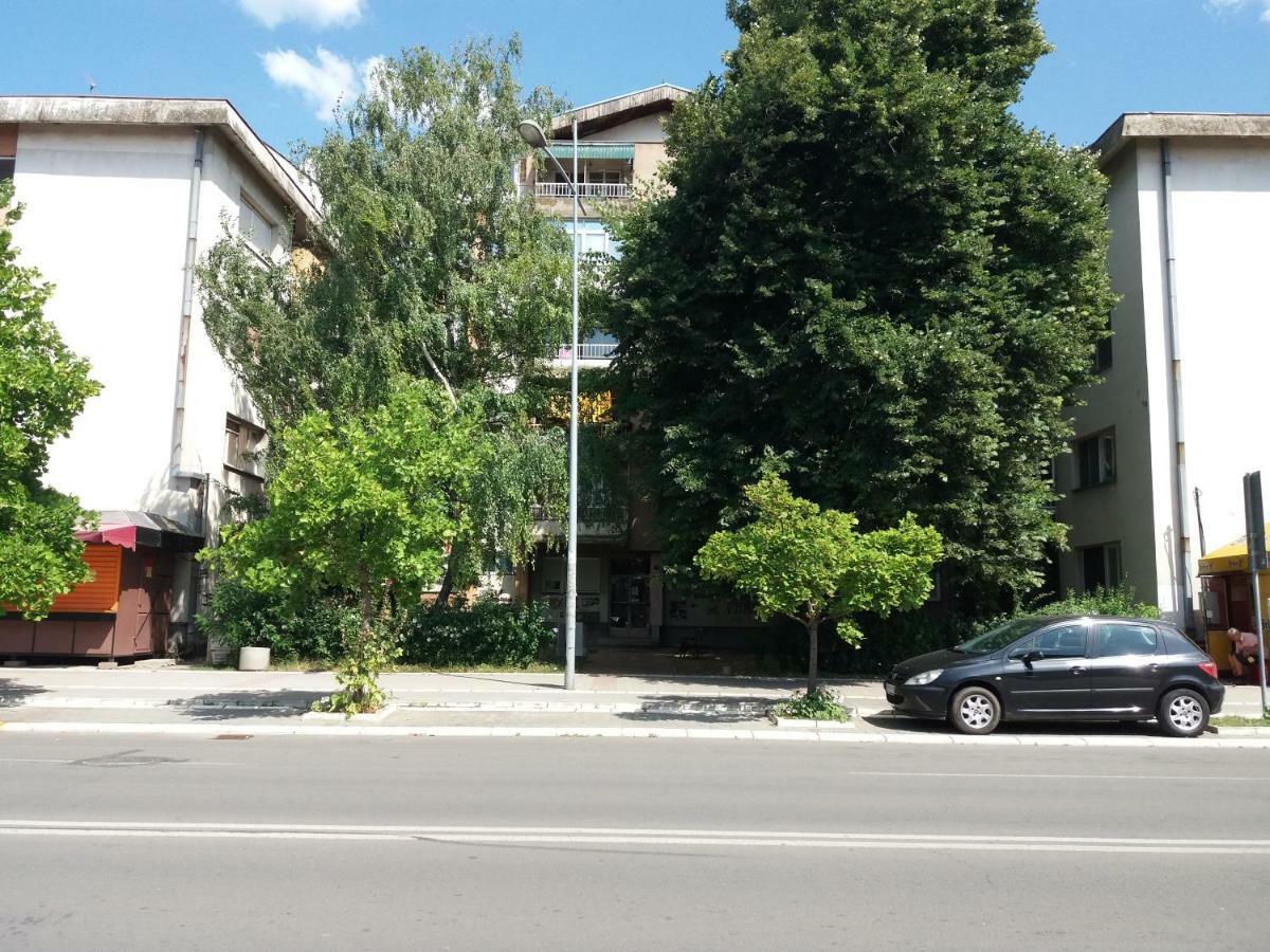 Stan Na Dan Dunja 2 Apartment Vrsac Luaran gambar