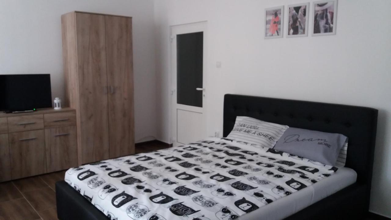 Stan Na Dan Dunja 2 Apartment Vrsac Luaran gambar