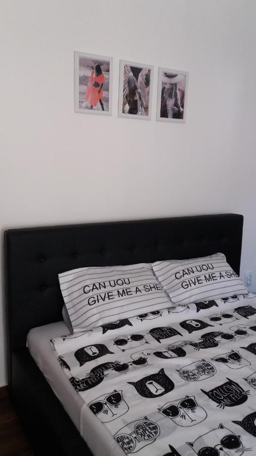 Stan Na Dan Dunja 2 Apartment Vrsac Luaran gambar